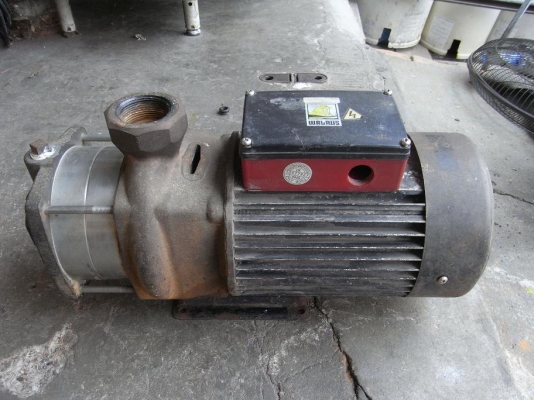 ขายปั้มน้ำหอยโข่งใบพัดหลายชั้น เเรงมาก ยี่ห้อ Walrus 4HP.380 V ใบพัดสแตนเลสอย่างดี สภาพสวยพร้อมใช้งาน รับประกันคุณภาพ ขายปั้มน้ำหอยโข่งใบพัดหลายชั้น เเรงมาก ยี่ห้อ Walrus 4HP.380 V ใบพัดสแตนเลสอย่างดี สภาพสวยพร้อมใช้งาน รับประกันคุณภาพ