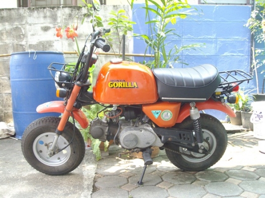 *** ขาย Honda Gorilla 6v ปิ 1978 มือสองญี่ปุ่น Monkey ทะเบียนแท้โอนได้*** *** ขาย Honda Gorilla 6v ปิ 1978 มือสองญี่ปุ่น Monkey ทะเบียนแท้โอนได้***