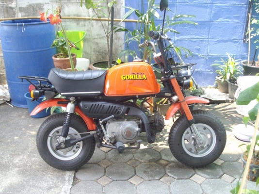 *** ขาย Honda Gorilla 6v ปิ 1978 มือสองญี่ปุ่น Monkey ทะเบียนแท้โอนได้***