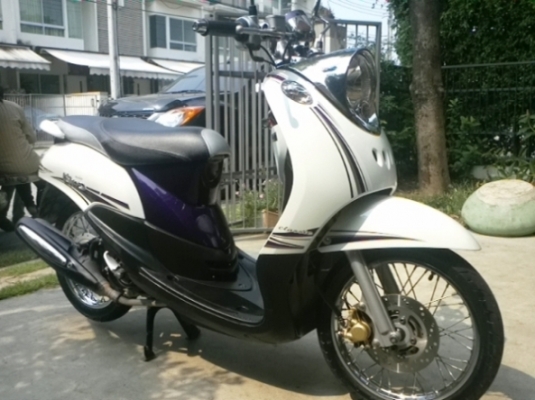 7 เดือน  New Fino Classic ตัว Top ลายใหม่ล่าสุด สวยๆ  เพียง  บาทเท่านั้น