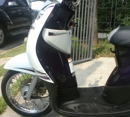 7 เดือน  New Fino Classic ตัว Top ลายใหม่ล่าสุด สวยๆ  เพียง  บาทเท่านั้น