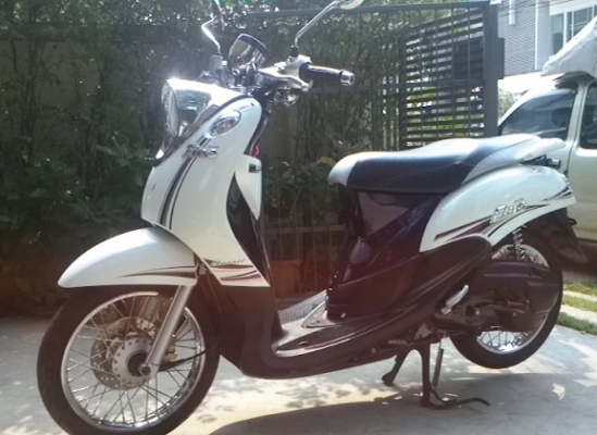 7 เดือน  New Fino Classic ตัว Top ลายใหม่ล่าสุด สวยๆ  เพียง  บาทเท่านั้น