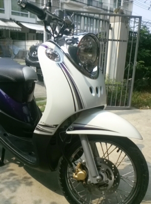 7 เดือน  New Fino Classic ตัว Top ลายใหม่ล่าสุด สวยๆ  เพียง  บาทเท่านั้น