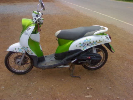 ฟีโนไมล์แยก  ปี54 ราคาเบา ๆ