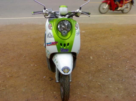 ฟีโนไมล์แยก  ปี54 ราคาเบา ๆ