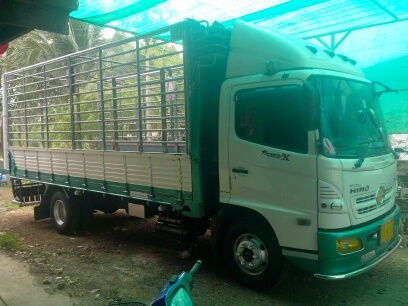 ขายรถ HINO MEGA 145แรงม้า กระบะเกษตรคอกเหล็ก รถบ้าน จดทะเบียนปี 51