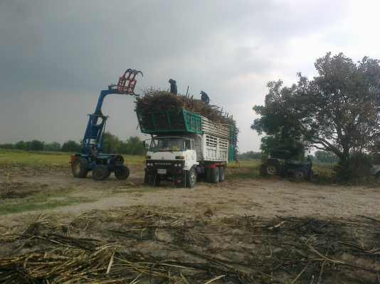 ขายรถบรรทุก 10 ล้อ  2 เพลา ดั้มพร้อมใช้งาน