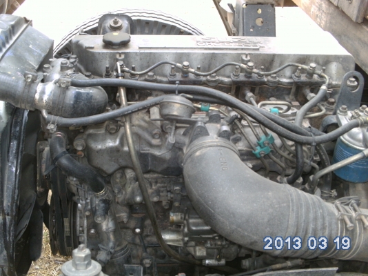 ขาย NPR  120  HP ห้างแท้ ฝาขาว ปี 43 ยาว 5 เมตร  ลดสุดท้าย  610000 ราคานี้ถึงสิ้น เมษานี้เท่านั้น