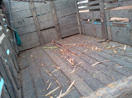 อีซูซุ 6ล้อ ช่วงสั้น เครื่องดี คัทซีสวย ขายถูกคับ รถอยุ่โคราช