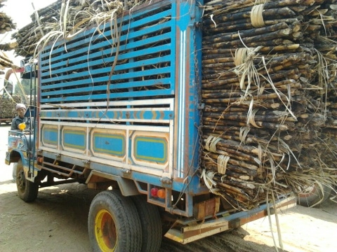 ขายด่วน รถอีแต๋น 6 ล้อดั๊มพ์ เครื่องยนต์ KUBOTA ET110 - 11 แรง ช่วงล่างใหญ่คานหน้า ISUZU 110 ชุดเฟืองท้าย ISUZU 100 กระบะดั๊มพ์ 2.5 ตันคอกไม้สูง ความยาว 3 เมตร กว้าง 1.80 เมตร ยาง 7.50 ขอบ 16 พร้อมบรรทุกพร้อมใช้งานได้เลย ราคาต่อรองได้นะครับ ขายด่วน รถอีแต๋น 6 ล้อดั๊มพ์ เครื่องยนต์ KUBOTA ET110 - 11 แรง ช่วงล่างใหญ่คานหน้า ISUZU 110 ชุดเฟืองท้าย ISUZU 100 กระบะดั๊มพ์ 2.5 ตันคอกไม้สูง ความยาว 3 เมตร กว้าง 1.80 เมตร ยาง 7.50 ขอบ 16 พร้อมบรรทุกพร้อมใช้งานได้เลย ราคาต่อรองได้นะครับ