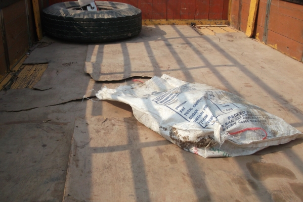 tl85 หัวการ์ตูน เอกสารเล่มทะเบียน