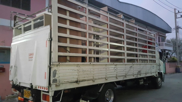 ขายกระบะใส่เมก้า 6.5 เมตรคัสซี 82 กว้าง 226 ยาว 650 สูง 220 เมตร