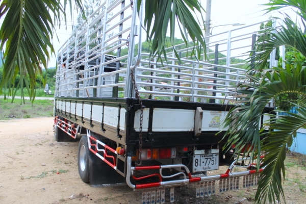 ขายหกล้อ ISUZU NQR 175 เทอร์โบว์ เฟื่อง F หน้า-หลัง