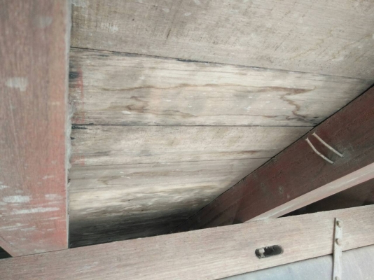 ขายเเล้วครับ.