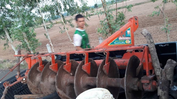 ผานหลังตามสภาพครับ ตราช้าง  ขายตัด 15,000 บาท