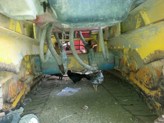 ขายรถเกี่ยวข้าว ไอ้หนุ่มไวไฟ ปี55 ใช้งานน้อย เกี่ยวแต่ข้าวนาปี รถสวยสภาพพร้อมใช้งาน สนใจโทร 090-8588220คุณนะ 093-3258446คุณบิว หรือเข้าดูสินค้าอื่นๆได้ที่ www.narong2truck.com หรือ www.truck.in.th/498 หรือเพจFacebook ณรงค์ ซื้อขายรถมือสอง (เว็บไซต์ส่วนตัว