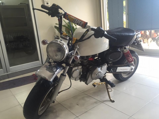 กอลิล่า สีขาว แต่งพอประมาณ