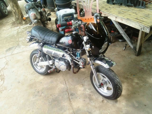 มั้งกี้ สีดำ ไม่มีทะเบียน