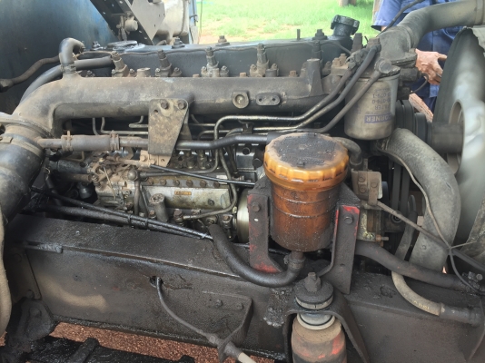 เครื่อง175พาวเวอร์ทิฟฟี่