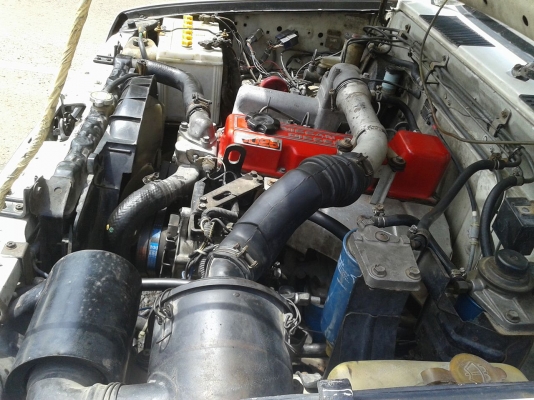 ขายรถนิสันบิ๊กเอ็ม ราคาถูกพร้อมใช้งาน ขายรถนิสันบิ๊กเอ็ม ราคาถูกพร้อมใช้งาน