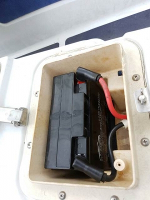 YAMAHA ปลาโอรุ่น Limited ญี่ปุ่น