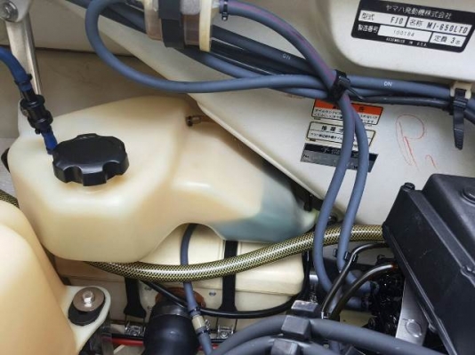 YAMAHA ปลาโอรุ่น Limited ญี่ปุ่น