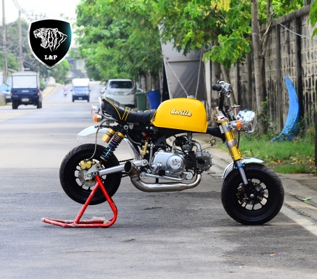 รถ/อะไหล่ !!!! ชาลี  มังกี้ กอลิล่า แต่ง  มีมากกว่า 100++ แบบ โครง cnc รวมของแต่งท่อ เบาะ เพียบ ราคาเริ่มต้น.........