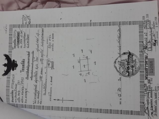 ขายที่ดินเปล่า เกาะขนุน อ.แปลงยาว จ.ฉะเชิงเทรา