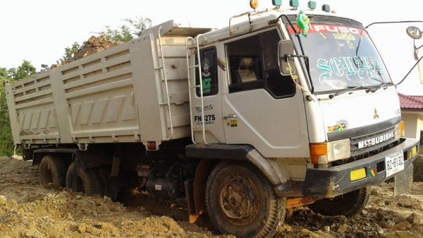 ขายดาวหลงโบว์ tf6xxx