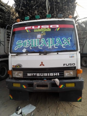 ขายดาวหลงโบว์ tf6xxx