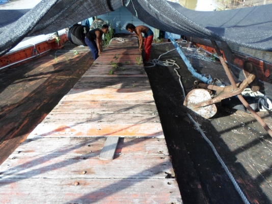 ขายเรือเก่าแต่เครื่องยนต์ใหม่