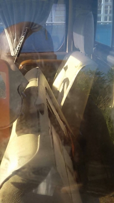 พื้นเรียบ พื้นเรียบ