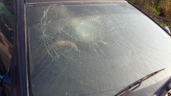 มาสด้า แลนติส