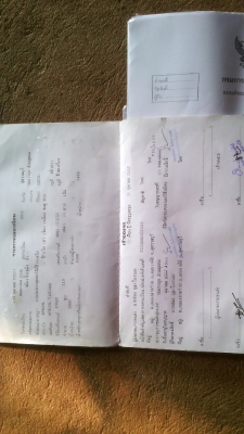 ขาย NPR ดั้ม