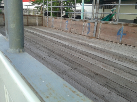 ขาย หกล้อ ISUZU NQR 175 แรง 5.5 ม ปี 52 แอร์พวงมาลัยพาเวอร์เทอร์โบ ยูโร 3 ขาย หกล้อ ISUZU NQR 175 แรง 5.5 ม ปี 52 แอร์พวงมาลัยพาเวอร์เทอร์โบ ยูโร 3