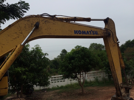 ขายโคมัสสุ 200 รุ่น7