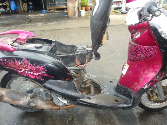 fino ปี 53 fino ปี 53