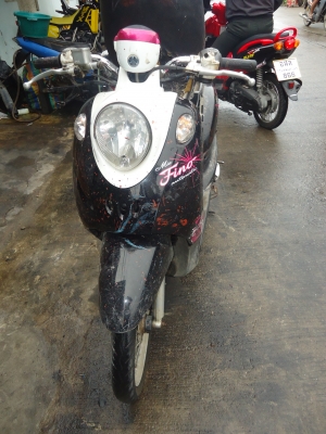 fino ปี 53 fino ปี 53