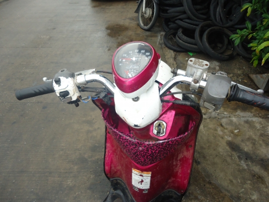 fino ปี 53 fino ปี 53