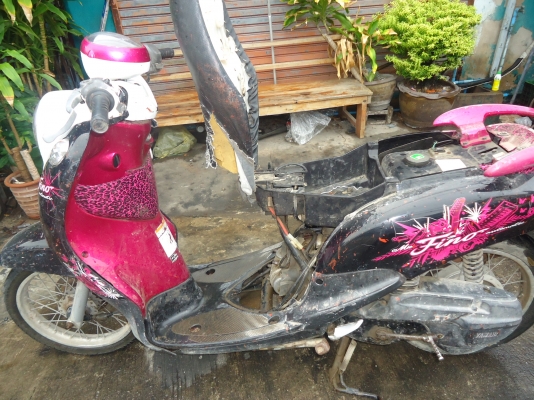 fino ปี 53 fino ปี 53