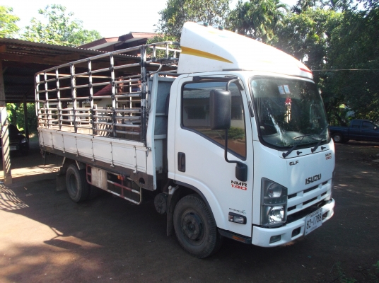 ขาย !! ISUZU nmr 130 hp สภาพสวย