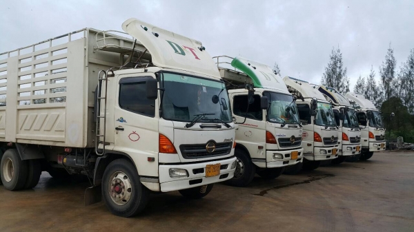 ขายด่วนสิบล้อเพลาเดียวกะบะสามมิตร ยาว6.20 สูง2.20 เมกก้า220 แรง FL1J NPA เดิมๆบางๆ  ยางดี คัสซีสวยทั้งเส้น .