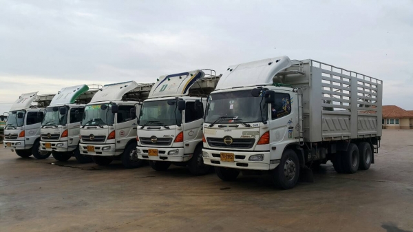 ขายด่วนสิบล้อเพลาเดียวกะบะสามมิตร ยาว6.20 สูง2.20 เมกก้า220 แรง FL1J NPA เดิมๆบางๆ  ยางดี คัสซีสวยทั้งเส้น .