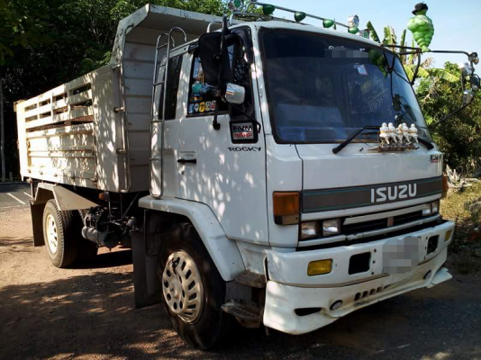 ISUZU FTR 195