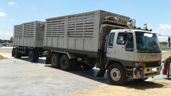 ขาย 1,130,000 พ่วงแม่-ลูกดั้ม