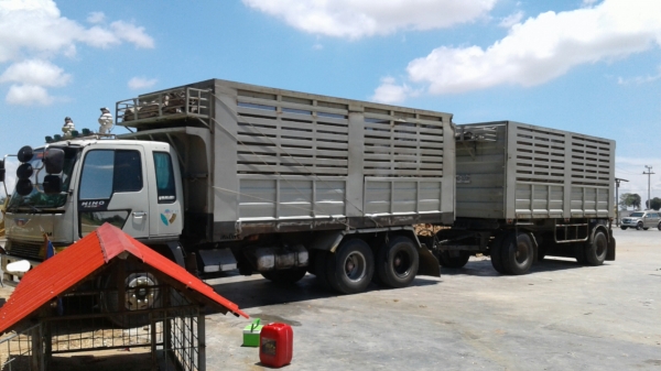 ขาย 1,130,000 พ่วงแม่-ลูกดั้ม