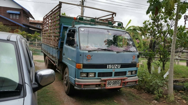 ขาย115 รถห้างเเท้ ปี33 ยาว 4.3 เมตร ยาง8.25 เครื่องมีอ่อน