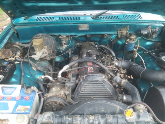 ขายไมตี้แค๊ปโปร่งหลัง