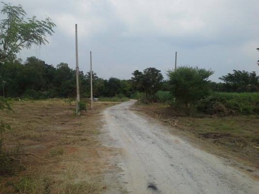 ขายที่ดินสวยถมแล้ว กำแพงแสน ผ่อนกับเจ้าของได้เลย ขายที่ดินสวยถมแล้ว กำแพงแสน ผ่อนกับเจ้าของได้เลย