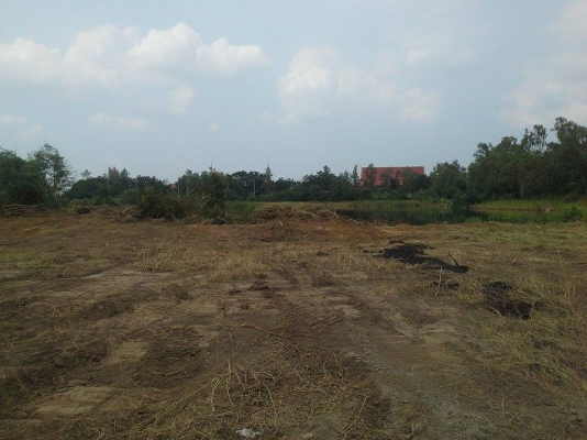 ขายที่ดินสวยถมแล้ว กำแพงแสน ผ่อนกับเจ้าของได้เลย ขายที่ดินสวยถมแล้ว กำแพงแสน ผ่อนกับเจ้าของได้เลย